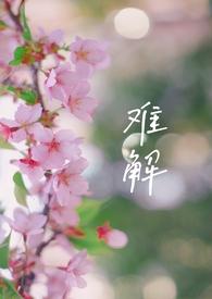 难解的意思正确答案