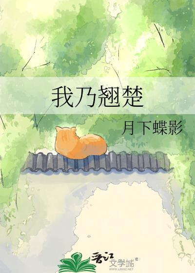 我乃翘楚无防盗夸克