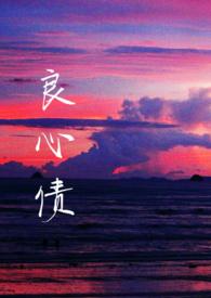 良心债第三集