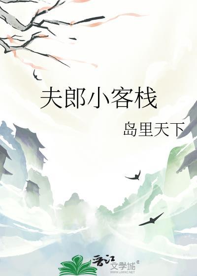 夫郎客栈岛里天才