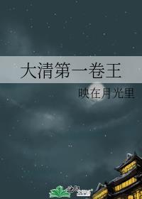 大清第一卷王TXT宝书网