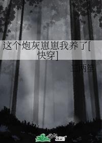 这个炮灰我养的