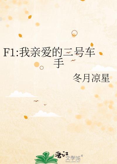 F1我亲爱的二号车手