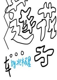 莲花子的寓意