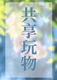 共享玩物(np)作者