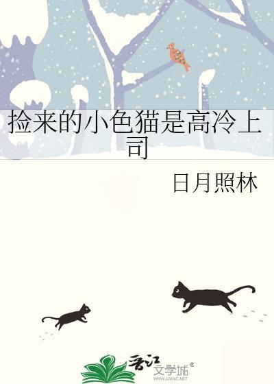 捡来的小奶猫又甜又软