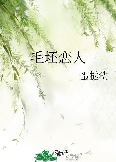 毛坯是啥意思