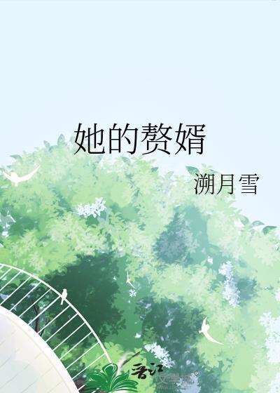 赘婿里的美女们
