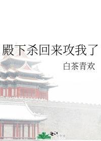 殿下来solo