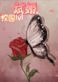 免费试婚