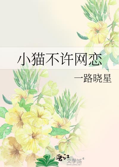 小猫不和别的猫玩