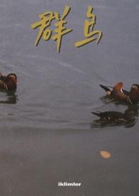群岛