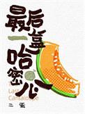 盒装哈密瓜