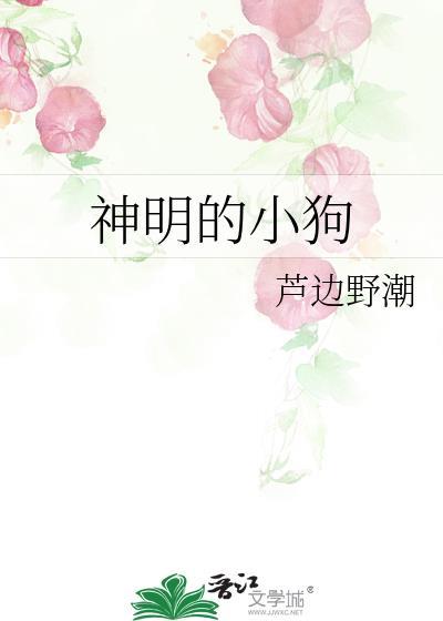 神明的宠儿免费阅读
