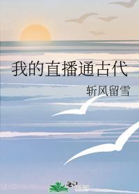 我的直播通古代账风流雪