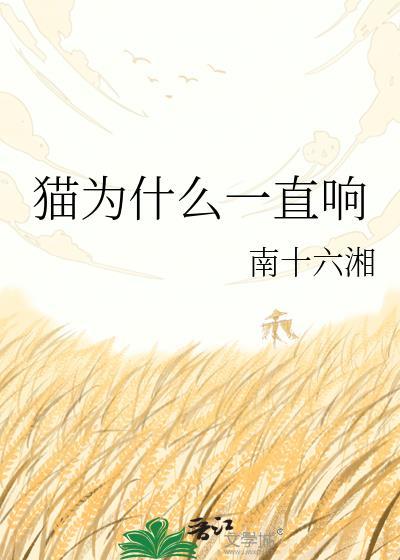 猫一直叫咋回事