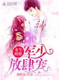 重生暖婚之军少
