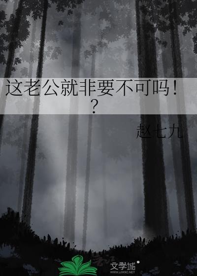 这老公就非要不可吗作者赵七九