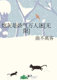 娇气炮灰