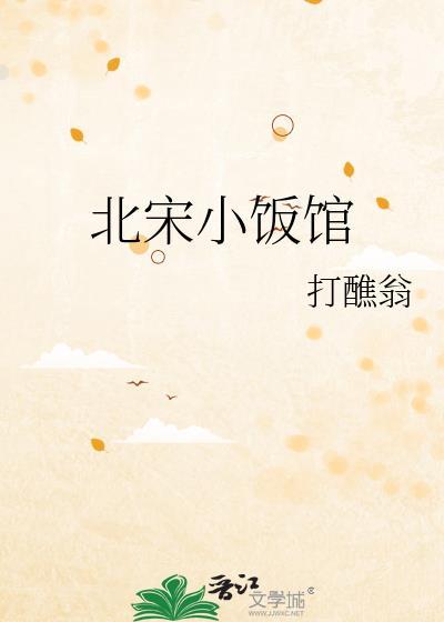 北宋小饭馆txt
