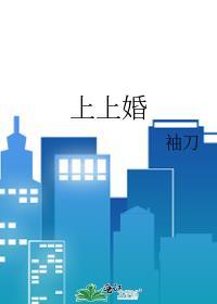 上上婚by袖刀讲的什么