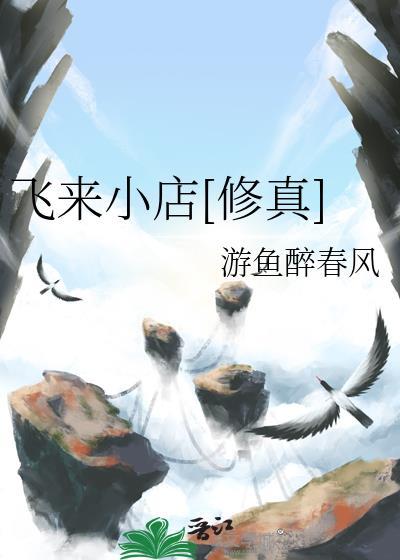 飞来飞去是什么公司