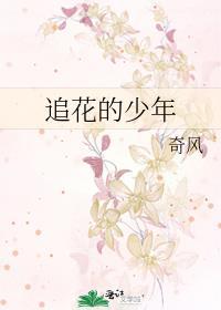 追日的少年