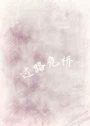 危桥改造项目的施工内容
