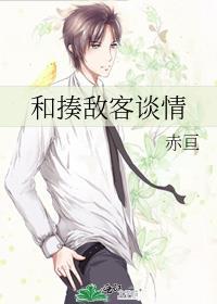 和揍敌客谈情作者赤亘