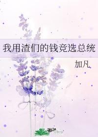 我用渣们的钱竞选总统(穿越)——加凡