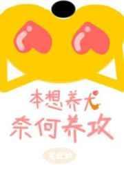 奈何养攻全文免费阅读