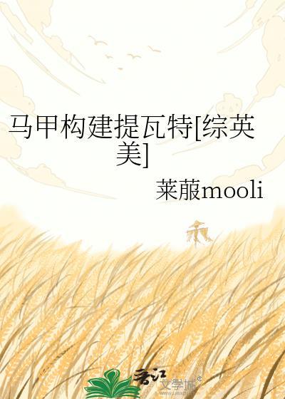 马甲介绍
