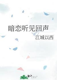 暗恋听见回声许奈奈林汀云