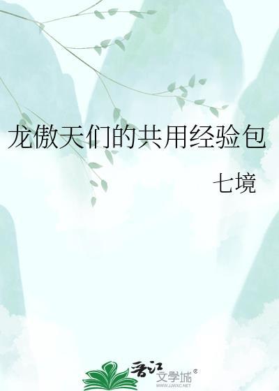 龙傲天多少钱