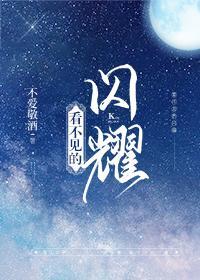 看不见的闪光灯 pdf