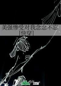 综英美忘想攻略