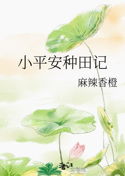 小平安种田记TXT