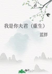 我是你夫君重生番外
