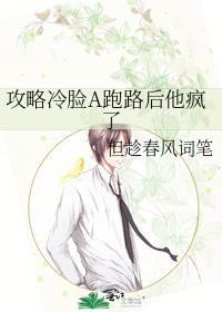 攻略冷面少帅免费阅读无弹窗