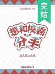想和校霸分手怎么都这么难 书耽