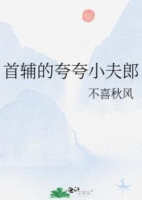 首辅的夸夸小夫郎txt百度