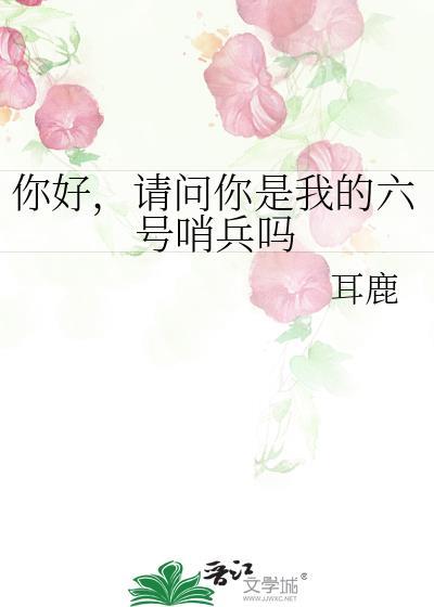请问你是我的六号哨兵吗英文翻译