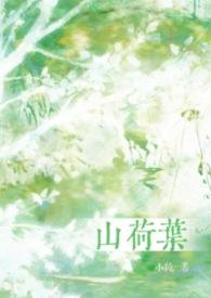 山荷叶别名
