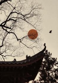 雀儿粥