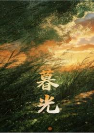 暮光hp文