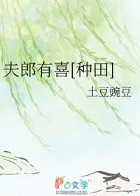有夫郎是什么意思