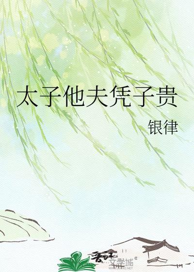 太子他夫凭子贵银律全文阅读