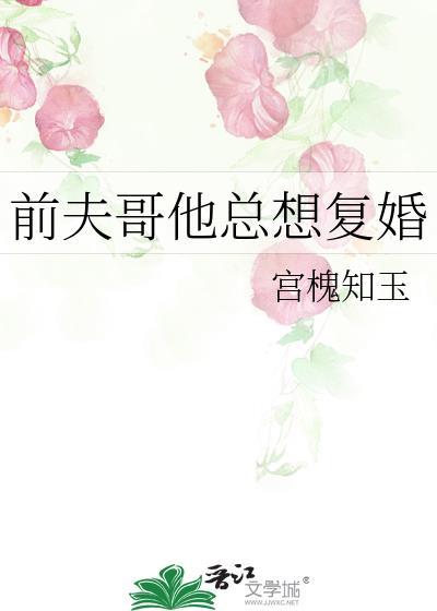 前夫哥他总想复婚by宫槐知玉免费阅读