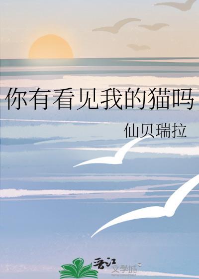 你有没有看见我的