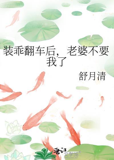 老婆不要我了免费阅读